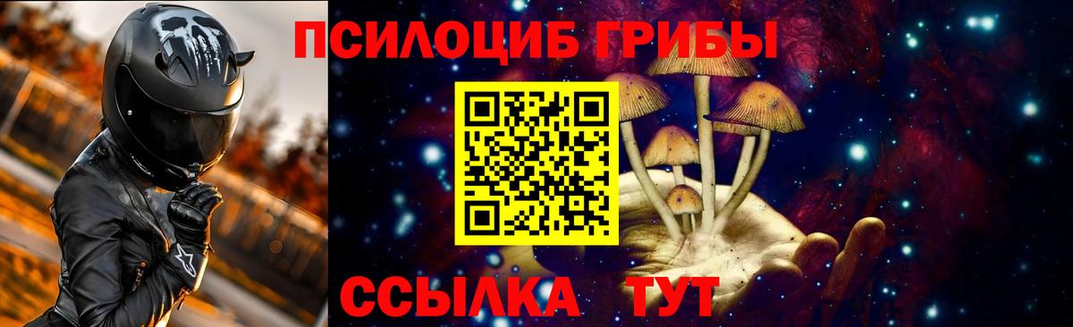 Псилоцибиновые грибы MAGIC MUSHROOMS  Вход с VPN  закладка  Королёв 